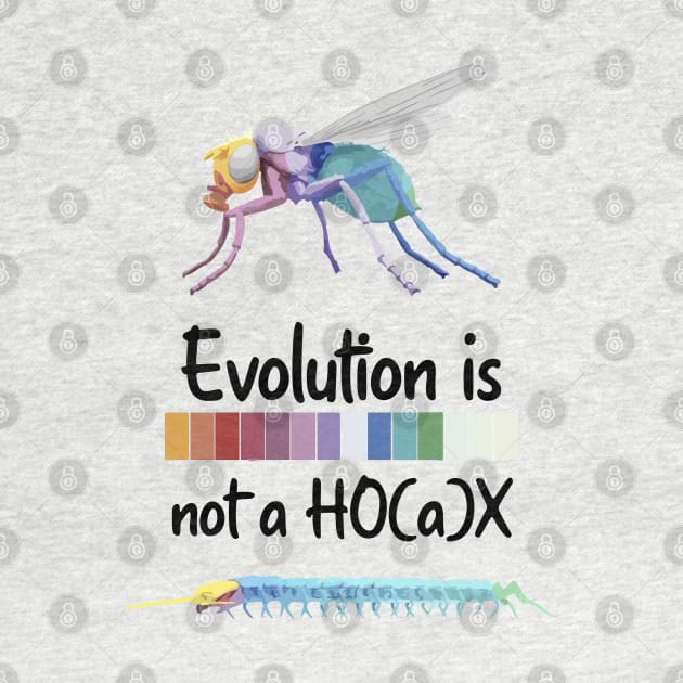 Evolution is not a hoax Hox Genes Similarities Housefly and centipede by labstud